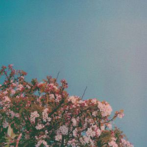 裸体女人和拘做爰
